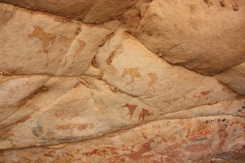 Discover ancient rock art depicting prehistoric life on Algerian cave walls.